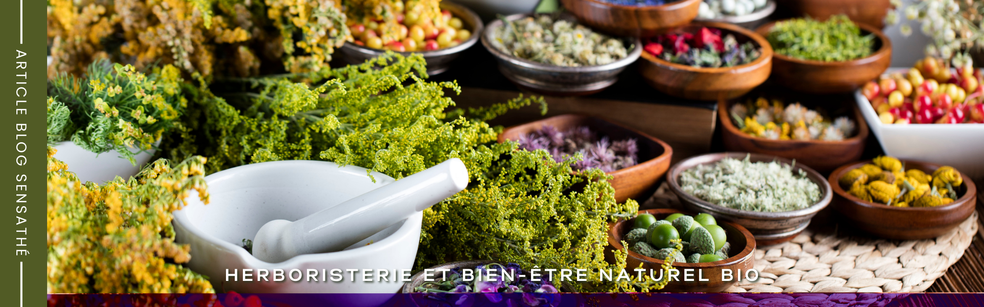 Herboristerie Sensathé - Plantes médicinales et tisanes BIO